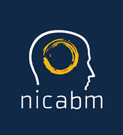 NICABM - How to Work with Perfectionism