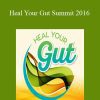 Heal Your Gut Summit 2016