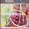 [Download Now] ONLINE HERBAL IMMERSION PROGRAM