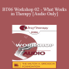 [Audio Download] BT06 Workshop 02 - What Works in Therapy: Translating 40 Years of Outcome Research into Empirically Supported Therapeutic Strategies - Scott Miller