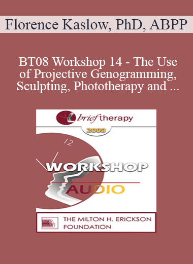 [Audio Download] BT08 Workshop 14 - The Use of Projective Genogramming