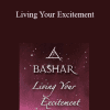 Bashar - Living Your Excitement