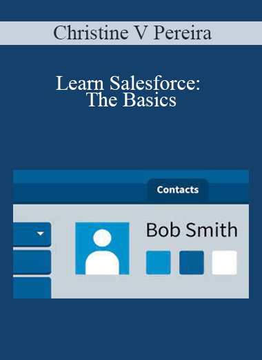 Christine V Pereira - Learn Salesforce: The Basics