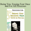 Dr. Dain Heer - Being You. Erasing Fear Once and For All Processes