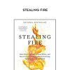 Jamie Wheal. Steven Kotler – Stealing Fire