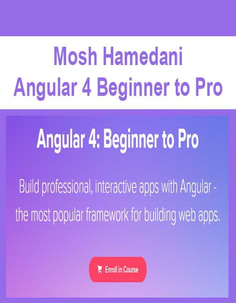 [Download Now] Mosh Hamedani - Angular 4 Beginner to Pro