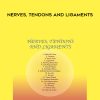 [Download Now] Sound Healing Center – Nerves
