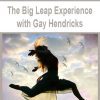 [Download Now] The Big Leap Experience with Gay Hendricks