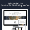 Eric Pepin Live: Session 14 Meditating as One - Higher Balance Institute