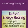 Cyndi Dale - Radical Energy Healing 2022