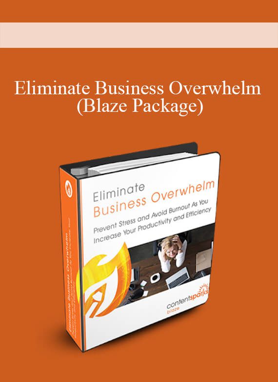 Eliminate Business Overwhelm (Blaze Package)